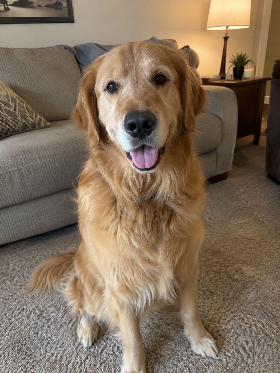 Before: original photo